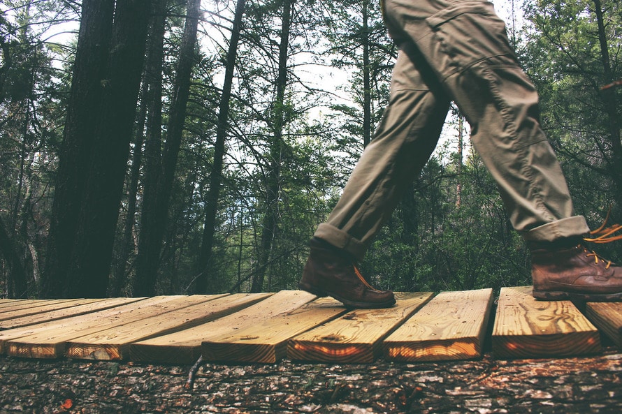 walk woods
